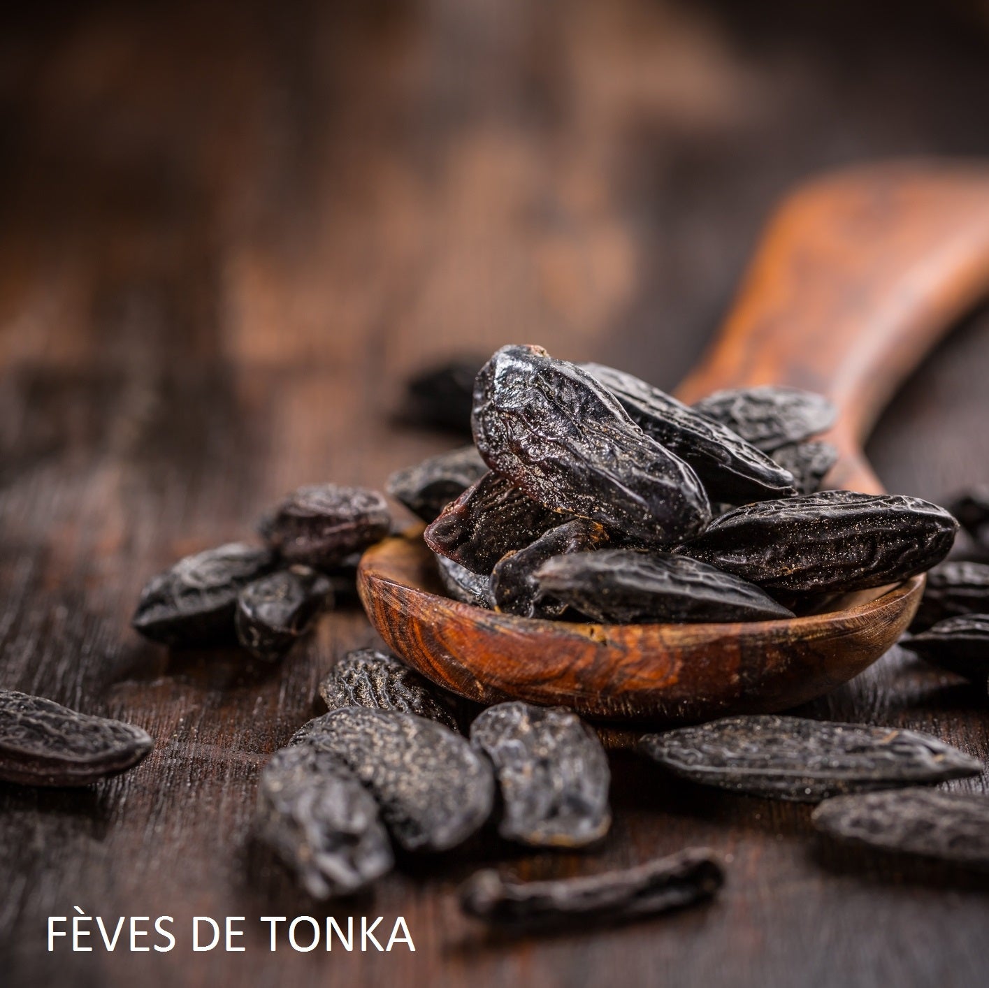 bougie-de-cuir-et-de-bois-harold-et-maude-maison-diaphane_5