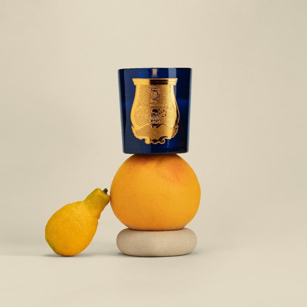 Bougie Salta – vue 3 - Trudon | Maison Diaphane