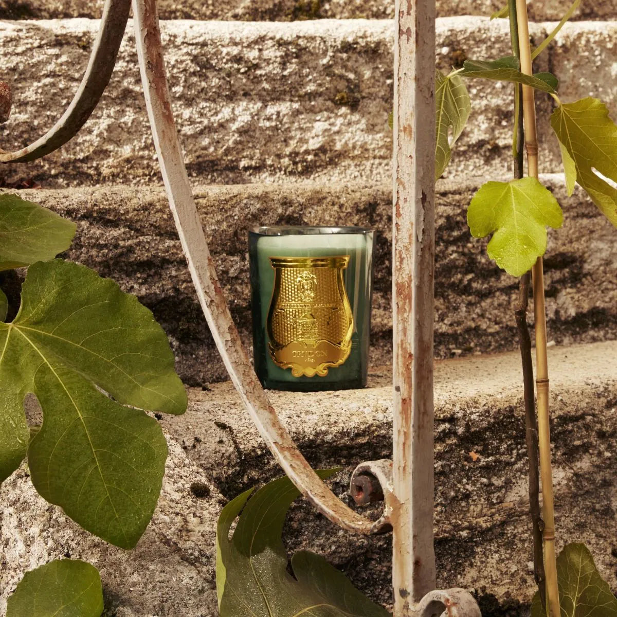 bougie-trudon-figuerie-maison-diaphane