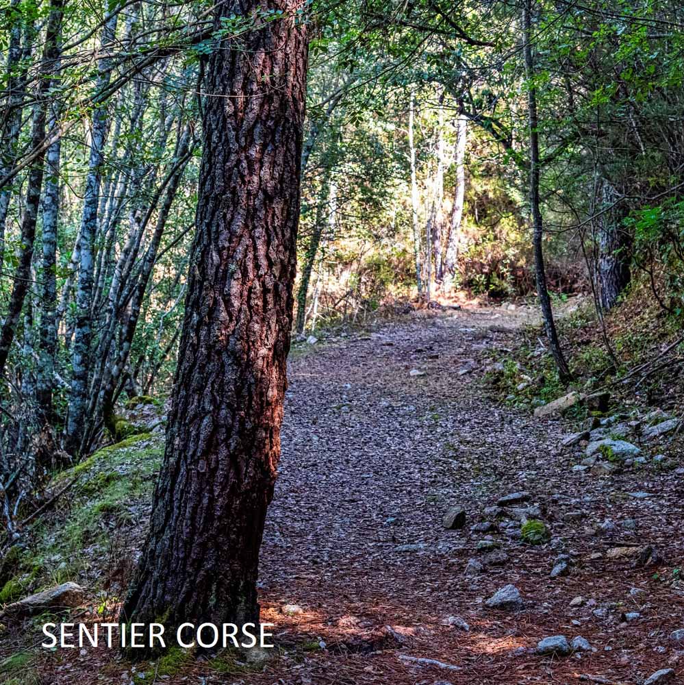 bougie-vers-sainte-lucie-de-talano-harold-et-maude-maison-diaphane_2