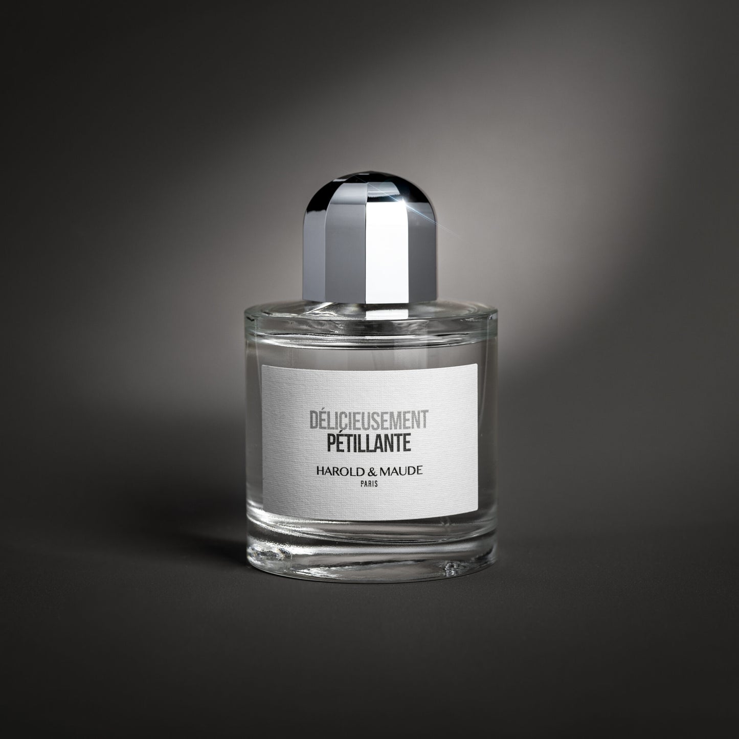 delicieusement-petillante-harold-et-maude-maison-diaphane