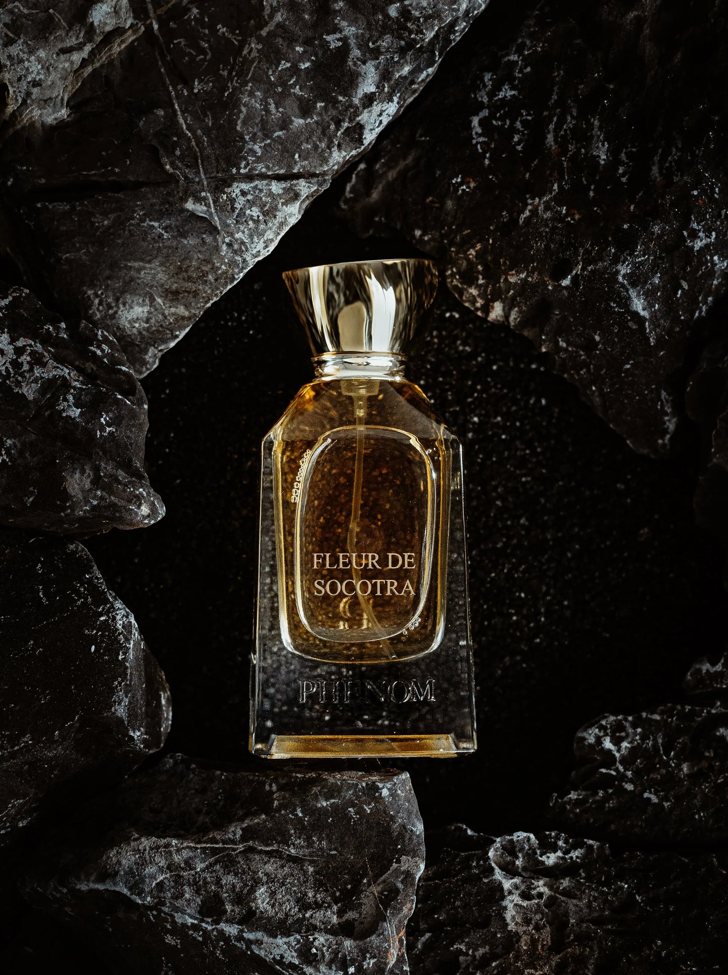Fleur de Socotra - PHENOM