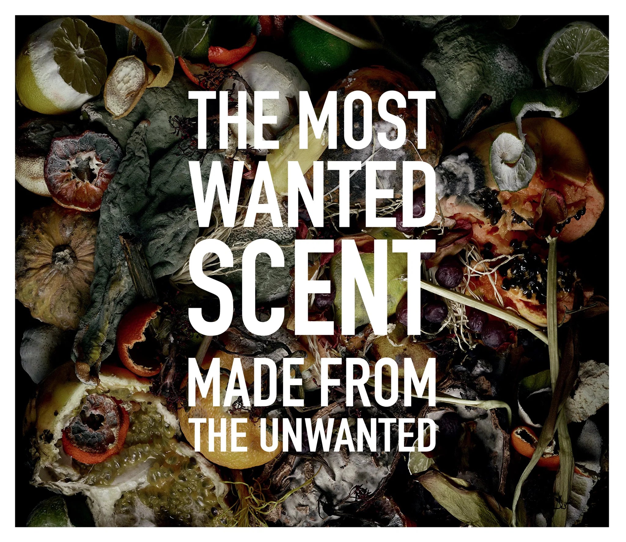 parfum-les-fleurs-du-dechet-etat-libre-d-orange-maison-diaphane_4