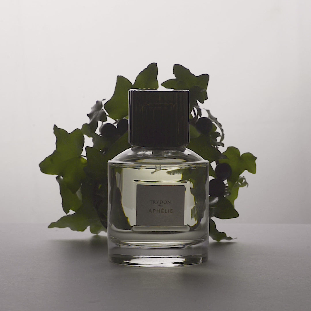 video-parfum-aphelie-trudon-maison-diaphane