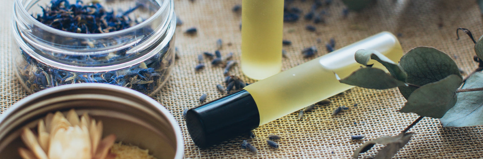 guide-familles-olfactives-parfum-maison-diaphane