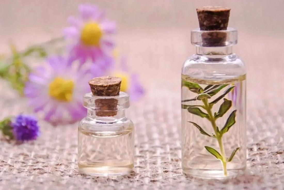 Flacons artisanaux et matières premières naturelles illustrant l’histoire de la parfumerie de niche.