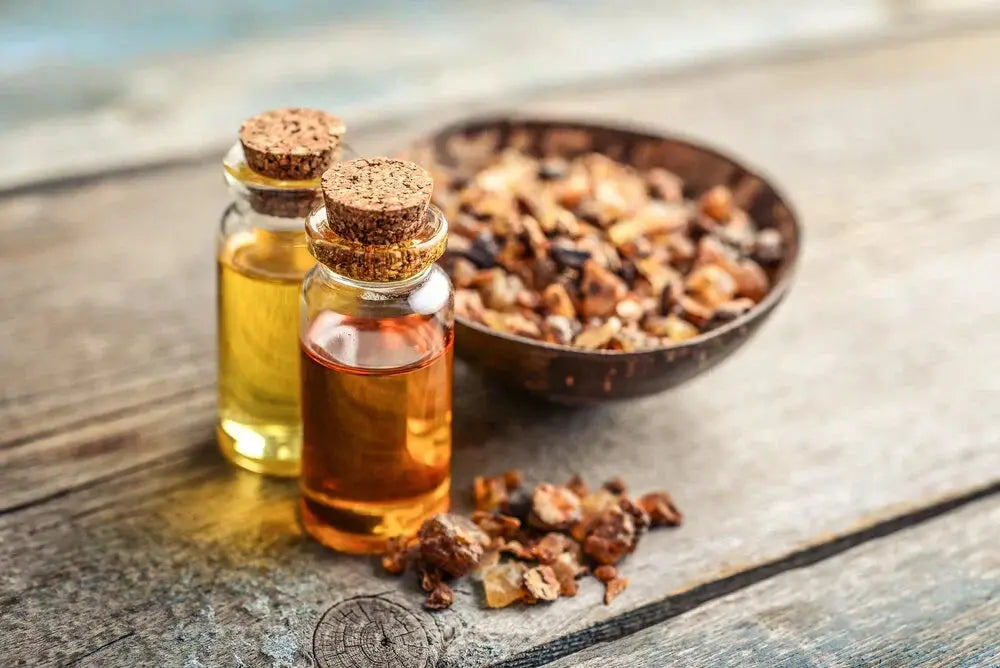 Encens, Myrrhe & Benjoin – Les résines en parfumerie