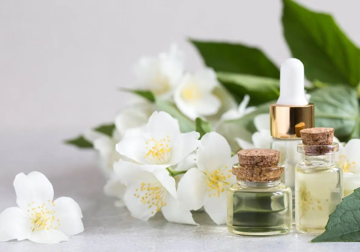 Rose, jasmin, iris : pourquoi ces fleurs nous émeuvent autant ?