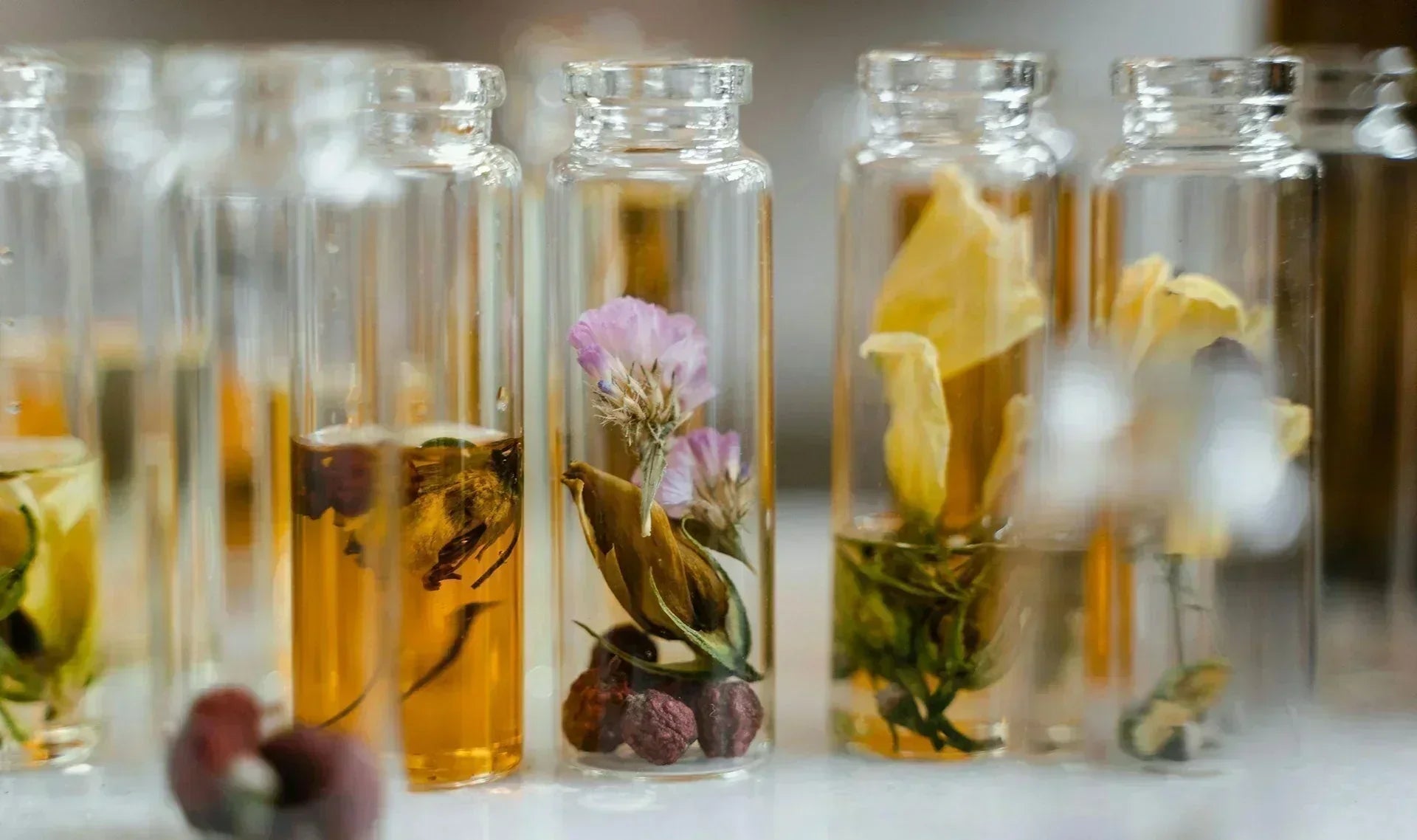 Top 10 des meilleurs nez de la parfumerie