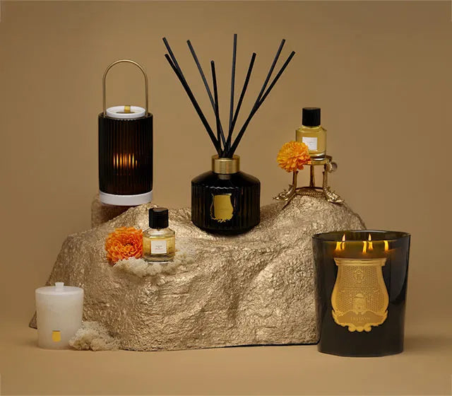 "Intérieur raffiné avec les produits Trudon : bougies, parfums et accessoires de luxe – Maison Diaphane"