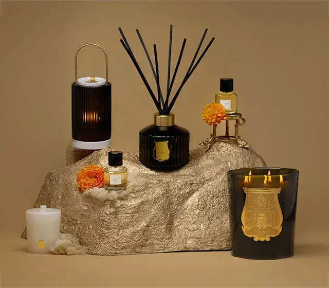"Intérieur raffiné avec les produits Trudon : bougies, parfums et accessoires de luxe – Maison Diaphane"