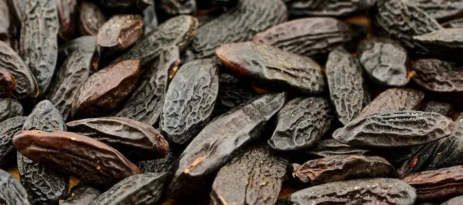 Vanille, fève tonka, cacao : la tentation gourmande dans les parfums