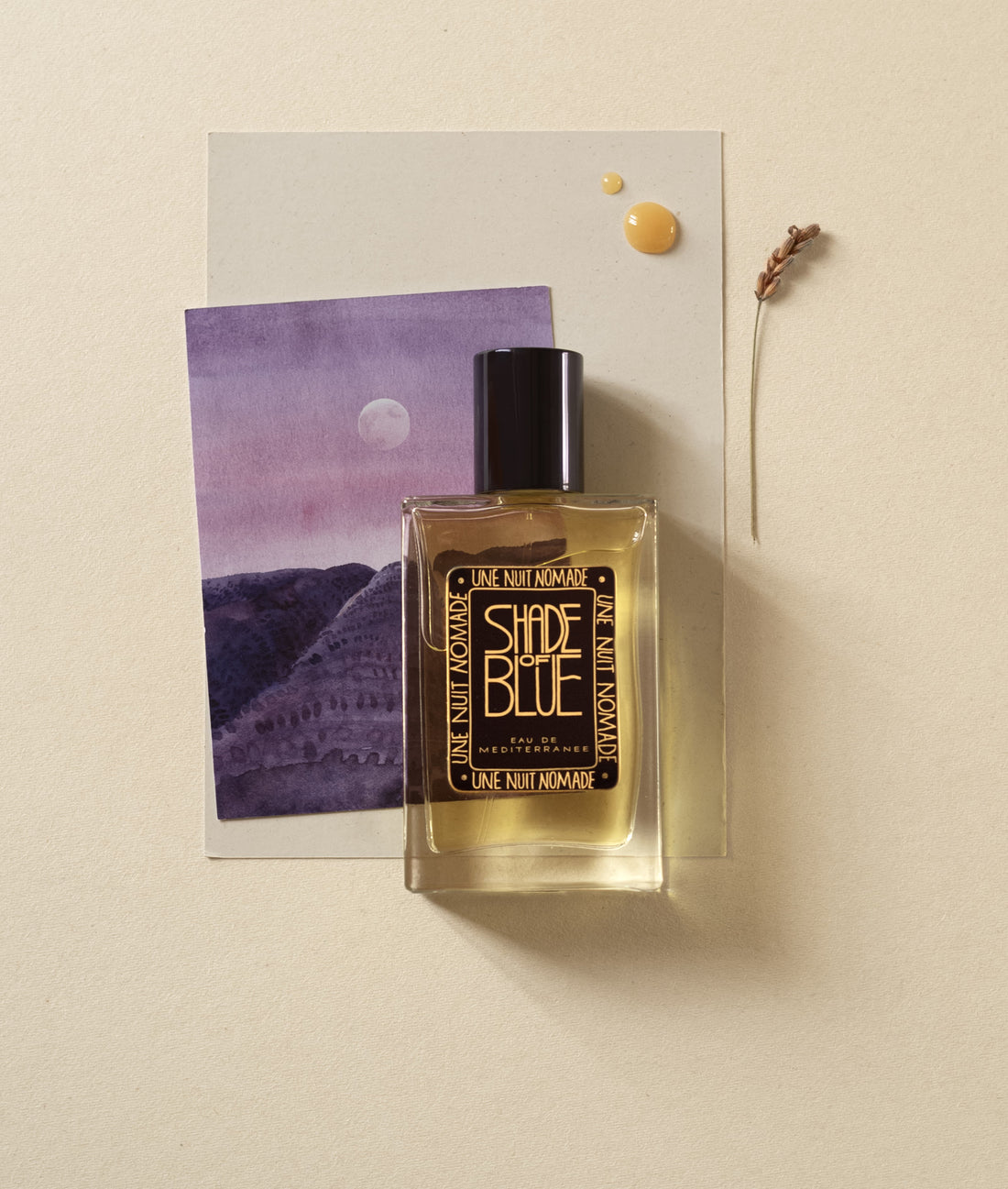 Shade of Blue Une Nuit Nomade