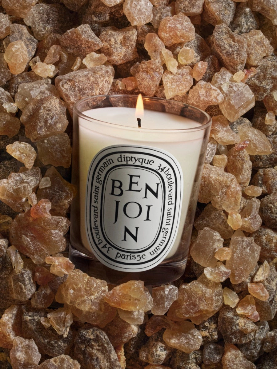 Bougie Benjoin de Diptyque chez Maison Diaphane à Angers