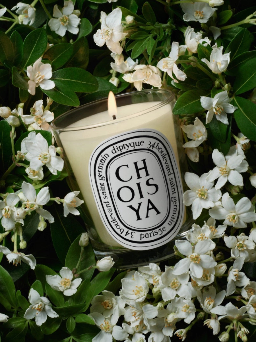 Bougie Choisya de Diptyque chez Maison Diaphane à Angers