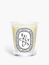 Bougie Eucalyptus - Diptyque | Maison Diaphane