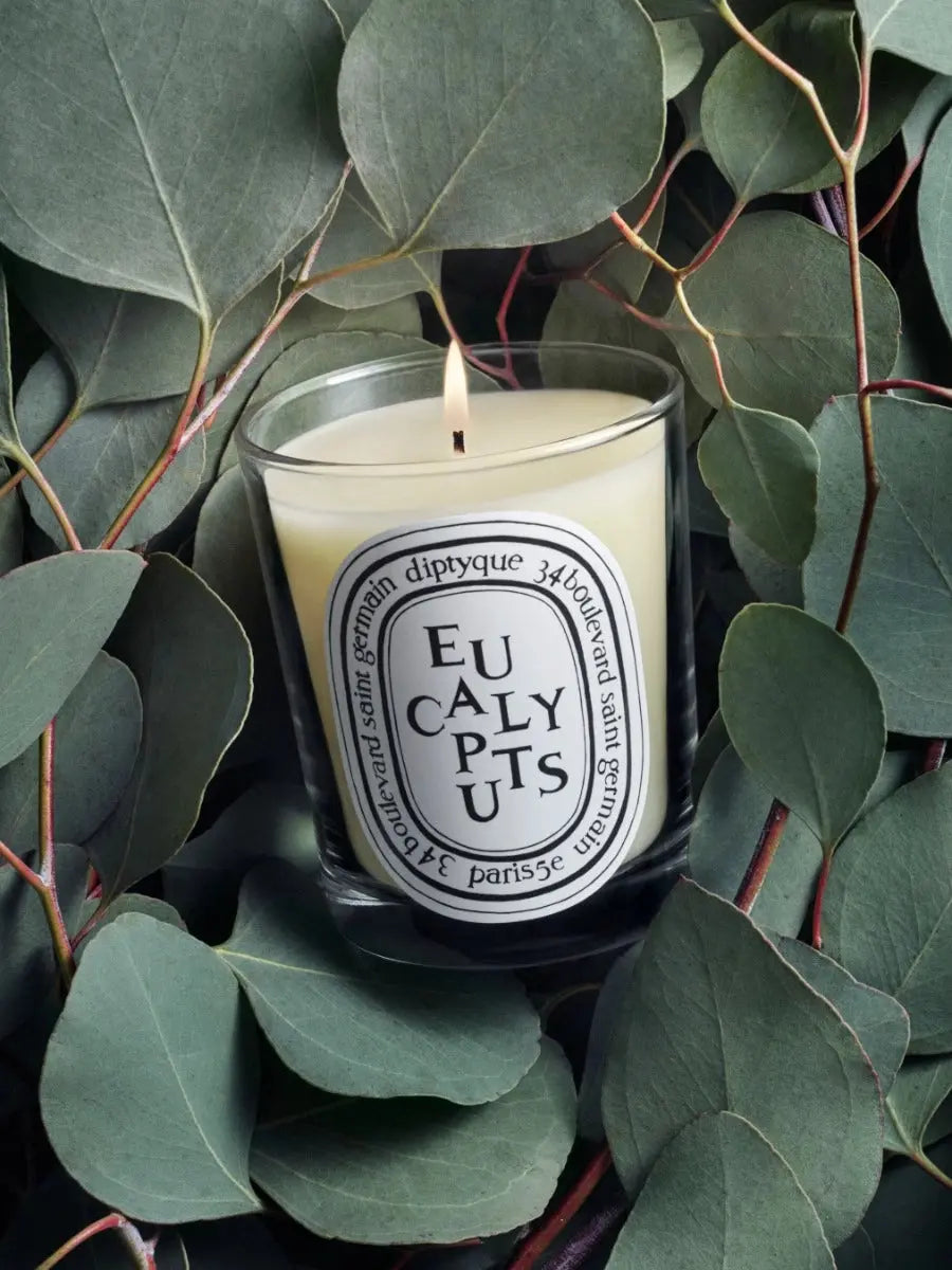 Bougie Eucalyptus - Diptyque | Maison Diaphane