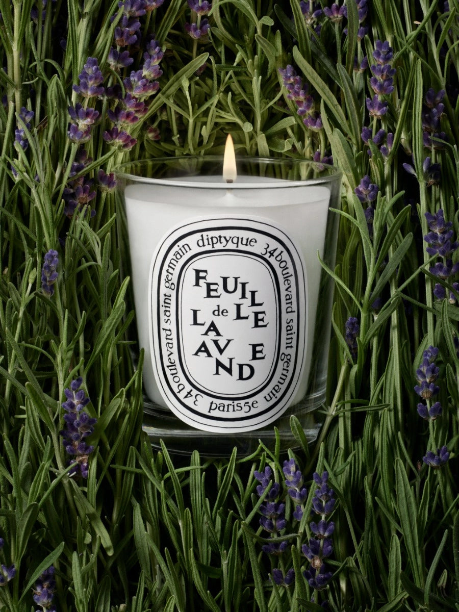 Bougie Feuille de Lavande de Diptyque chez Maison Diaphane à Angers