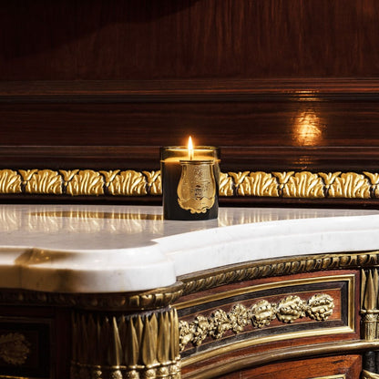 bougie-gabriel-trudon-maison-diaphane_3