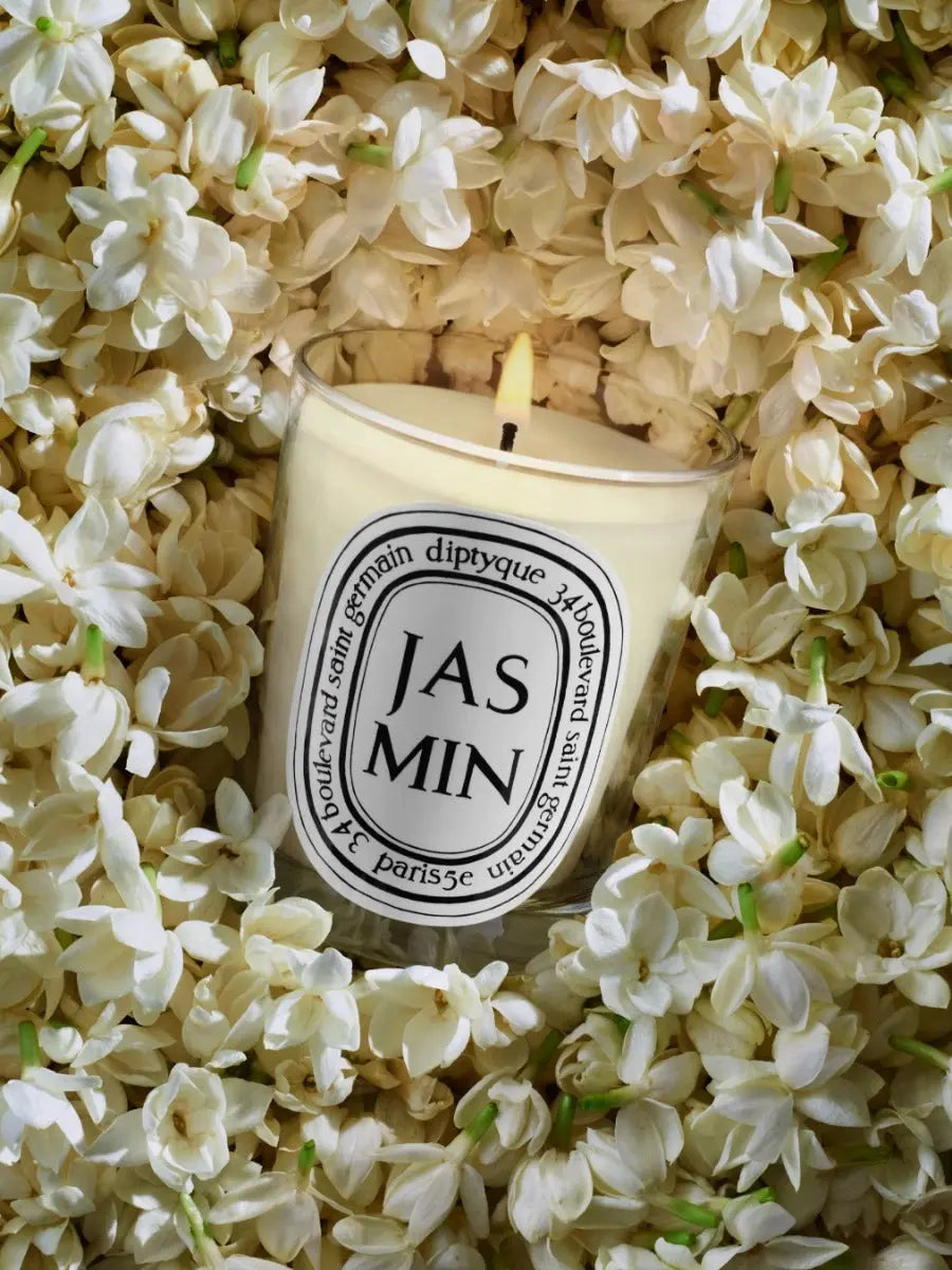 Bougie Jasmin - Diptyque | Maison Diaphane