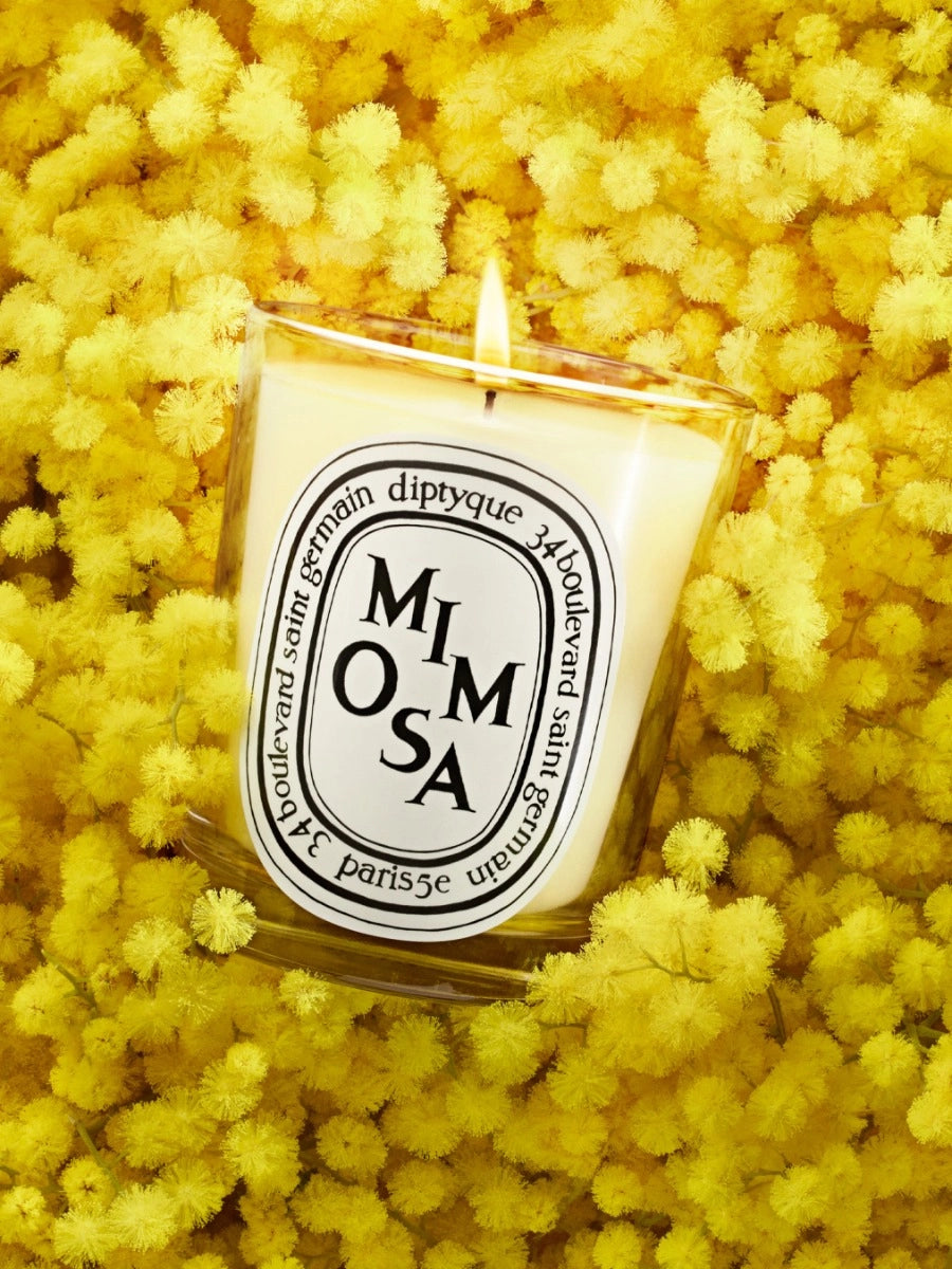 Bougie Mimosa de Diptyque chez Maison Diaphane à Angers