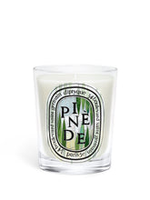 Bougie Pinède édition estivale dans son verre transparent et son étui décoré d&