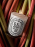 Univers végétal de la bougie parfumée Rhubarbe - Diptyque | Maison Diaphane