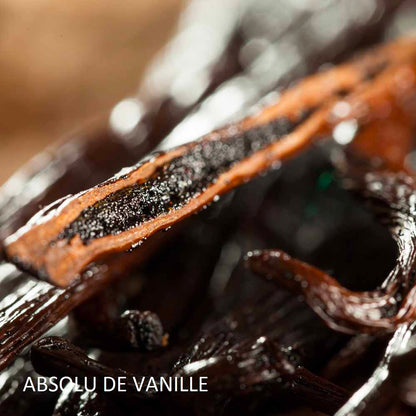 bougie-souvenir-des-marquises-harold-et-maude-maison-diaphane_4