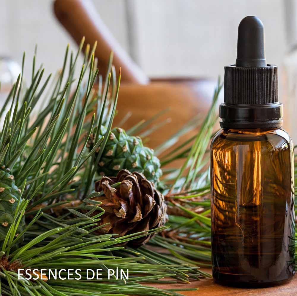 bougie-sur-le-bureau-harold-et-maude-maison-diaphane_2