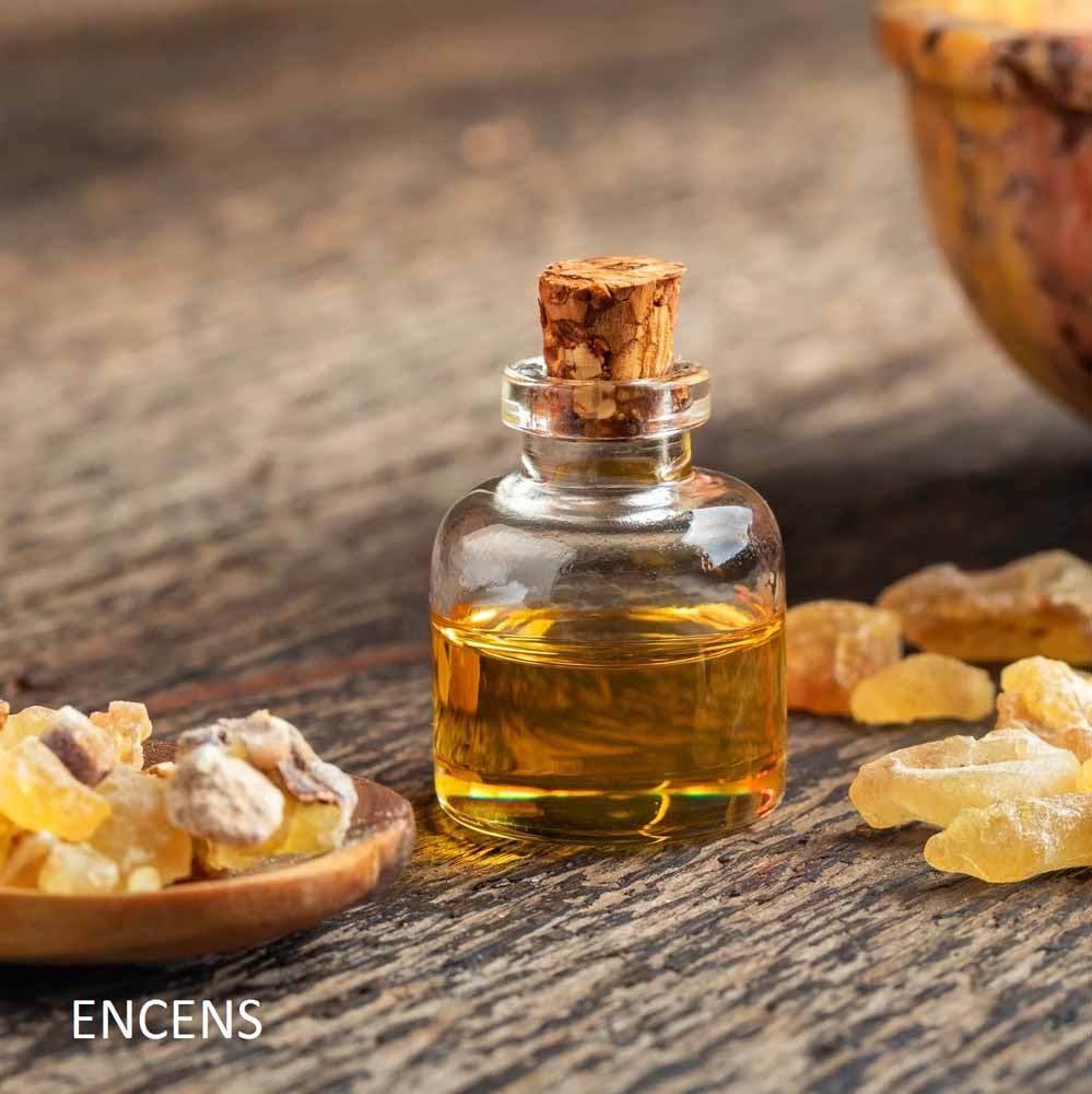 bougie-sur-le-bureau-harold-et-maude-maison-diaphane_3