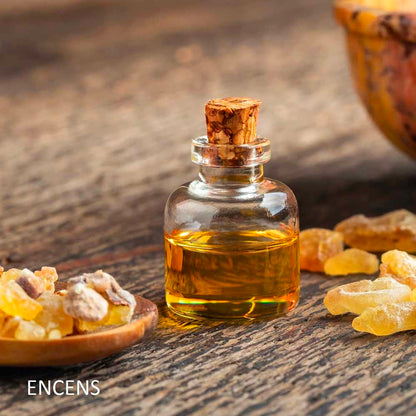 bougie-sur-le-bureau-harold-et-maude-maison-diaphane_3