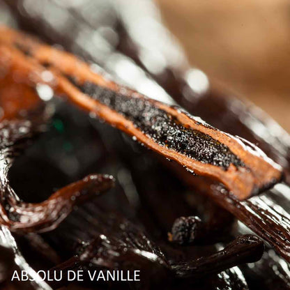 bougie-sur-le-bureau-harold-et-maude-maison-diaphane_5