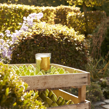 bougie-trudon-figuerie-maison-diaphane