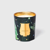 Bougie Fir - Trudon | Maison Diaphane