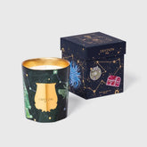 Bougie Fir – vue 5 - Trudon | Maison Diaphane