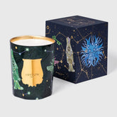 Bougie Fir – vue 4 - Trudon | Maison Diaphane