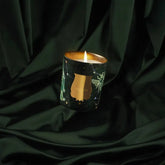 Bougie Fir – vue 2 - Trudon | Maison Diaphane