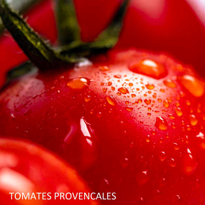 bougie-tu-mas-raconte-harold-et-maude-maison-diaphane_3