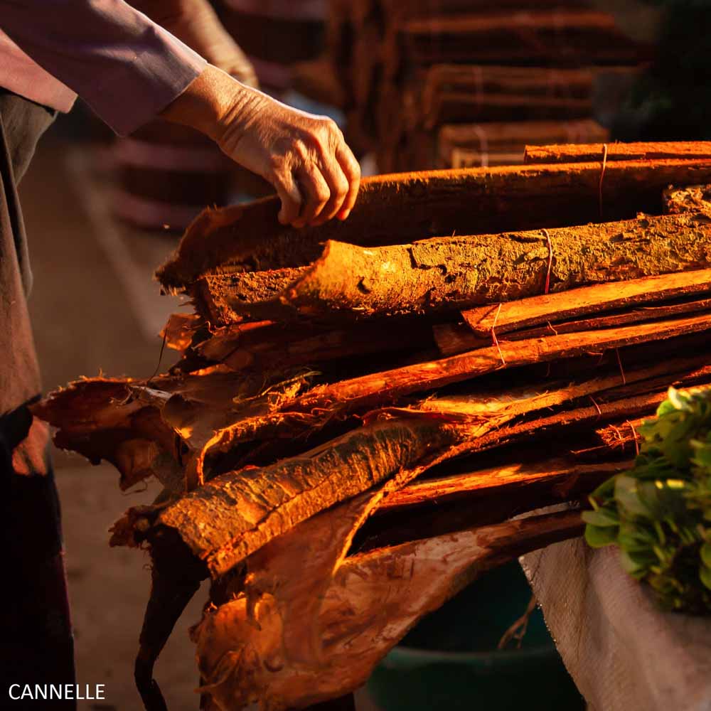 bougie-un-matin-au-marche-de-kandy-harold-et-maude-maison-diaphane_2