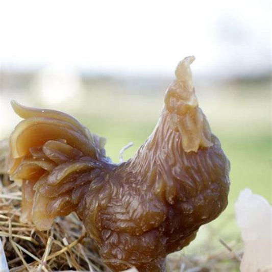 bougies-coq-en-cire-la-ciergerie-des-premontres-maison-diaphane