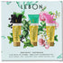 coffret-green-mood-dentifrices-lebon-maison-diaphane