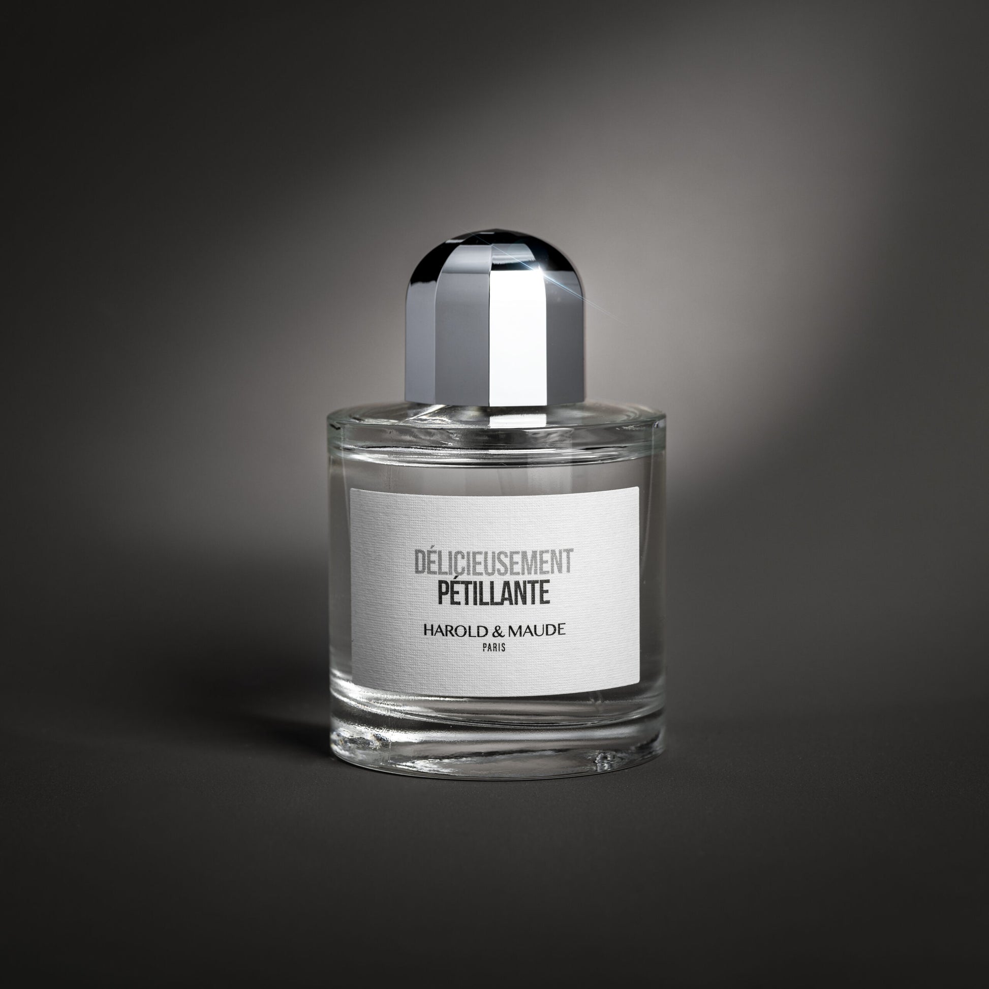 delicieusement-petillante-harold-et-maude-maison-diaphane