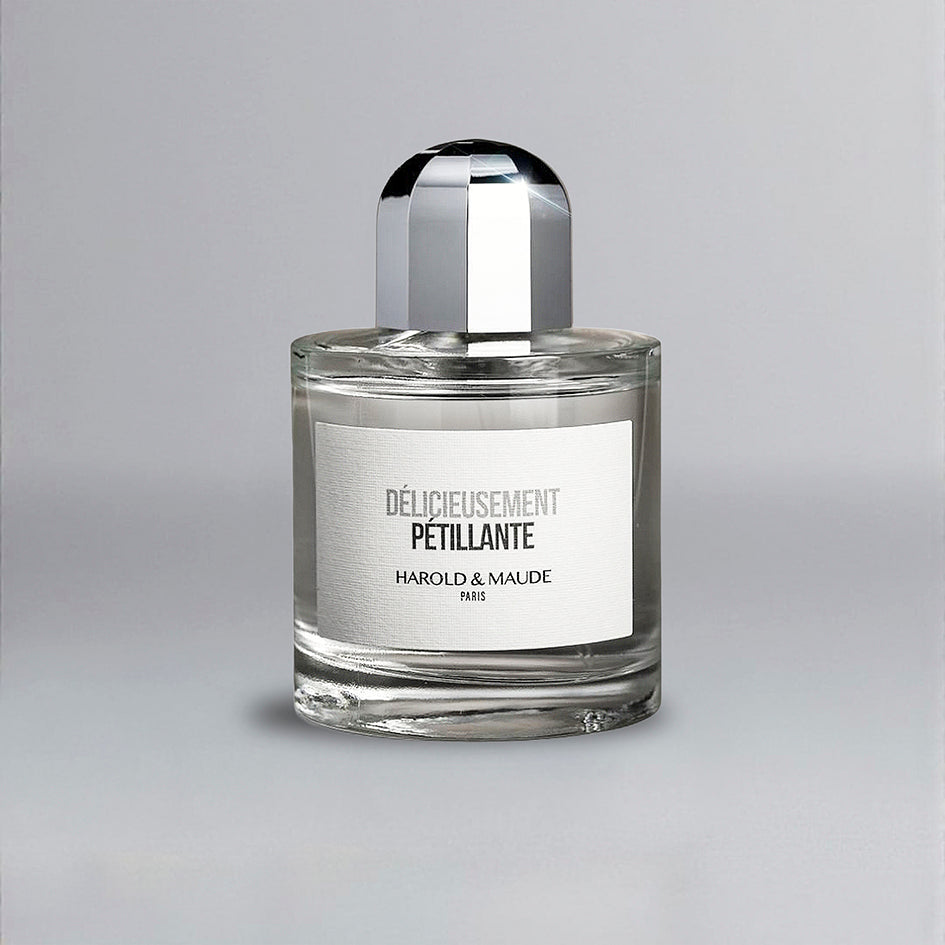 delicieusement-petillante-harold-et-maude-maison-diaphane