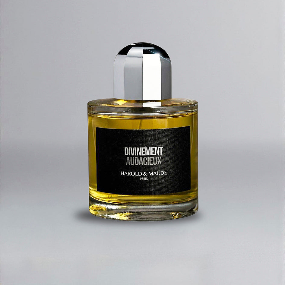 divinement-audacieux-harold-et-maude-maison-diaphane