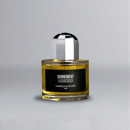 divinement-audacieux-harold-et-maude-maison-diaphane