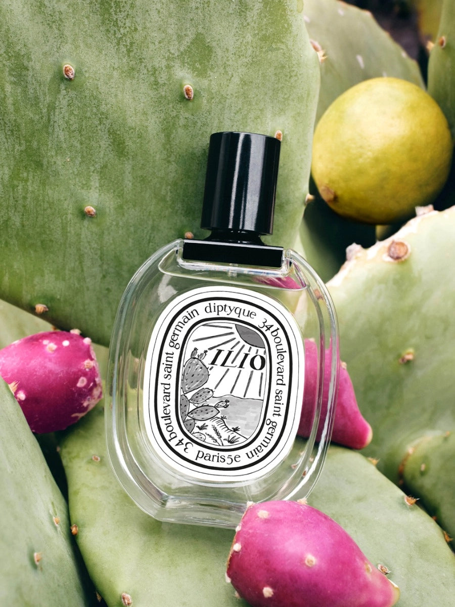 eau-de-toilette-ilio-diptyque-maison-diaphane
