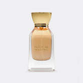 Extrait de parfum Fleur de Socotra – parfum floral et exotique - BEY PHENOM | Maison Diaphane
