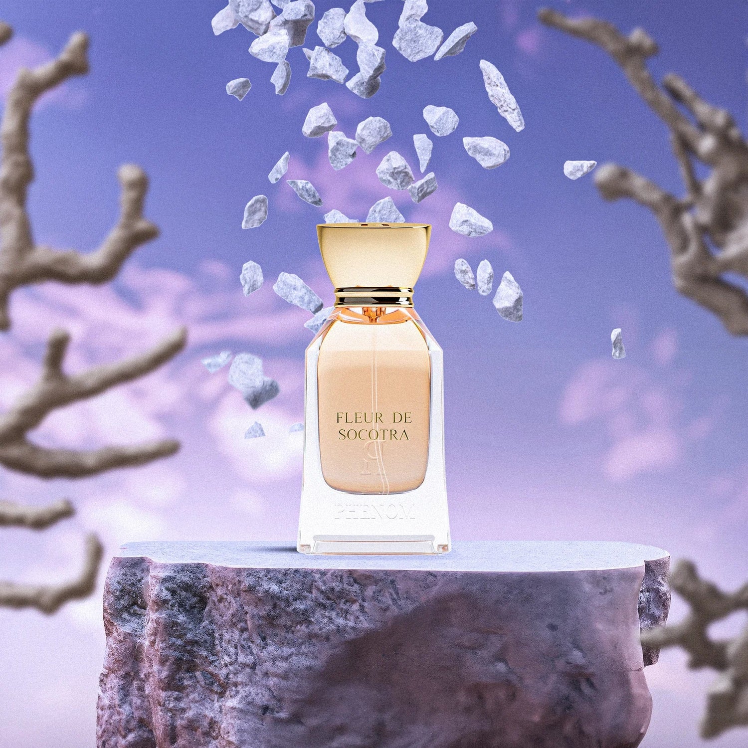 Parfum Fleur de Socotra de Phenom – vue 4