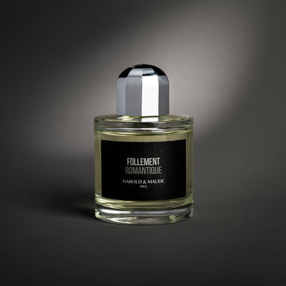 follement-romantique-harold-et-maude-maison-diaphane