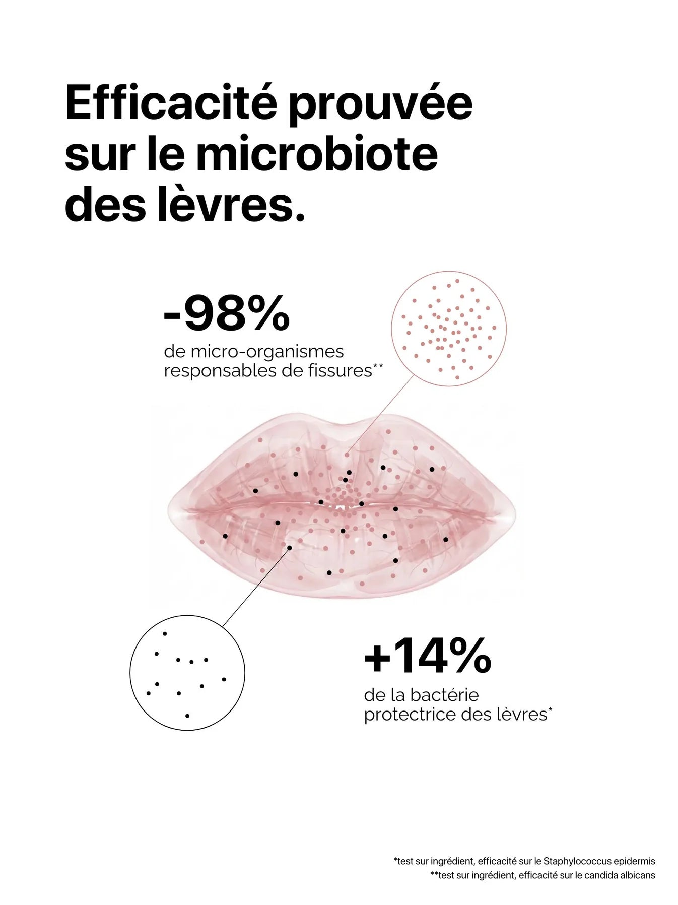 micro-baume-nourrissant-levres-the-smilist-maison-diaphane